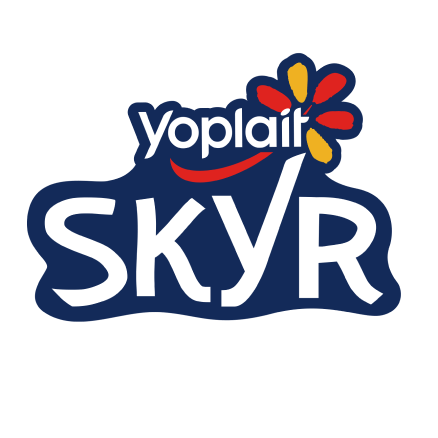 Logo skyr