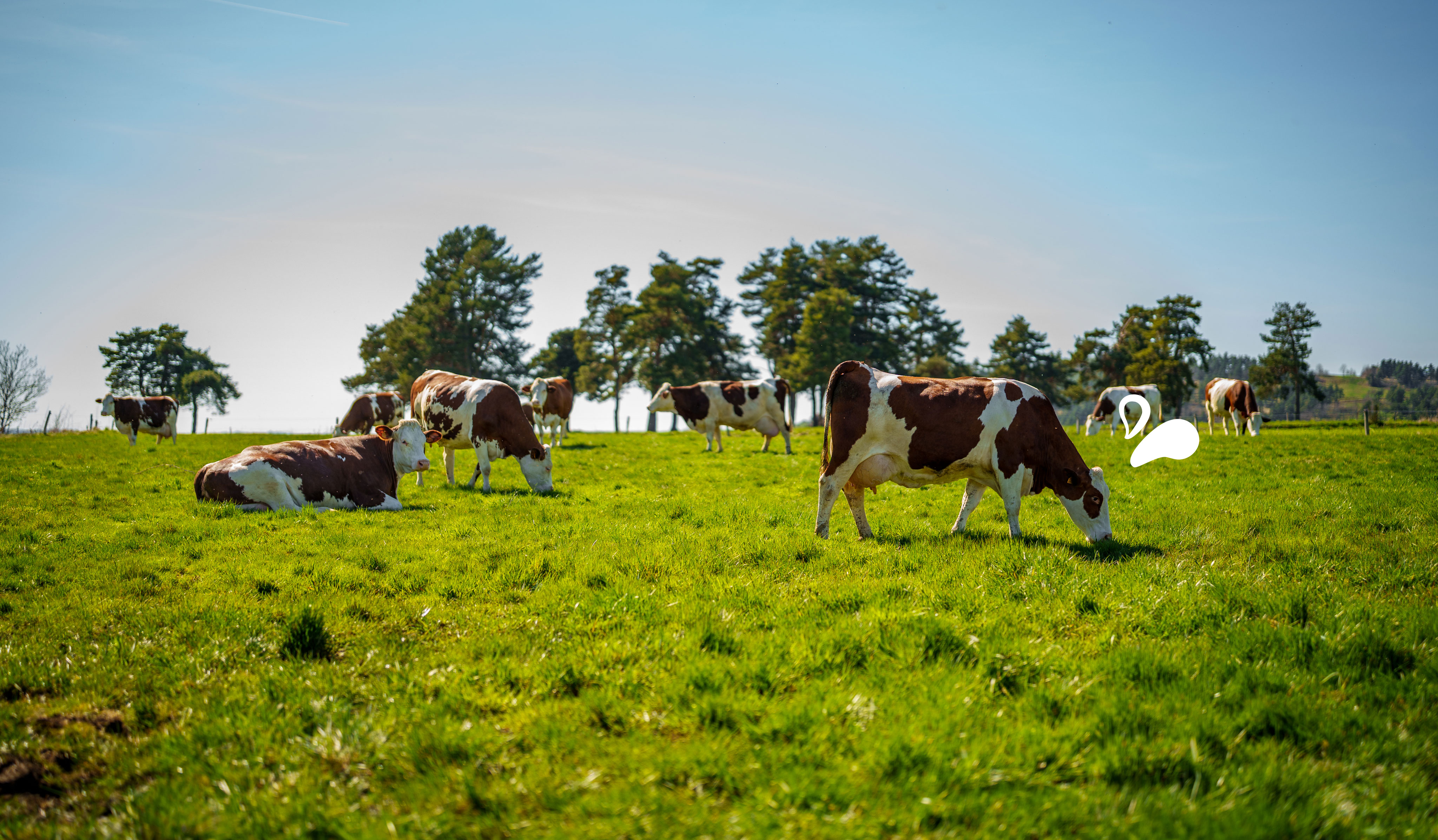 Bannière modèle coopératif