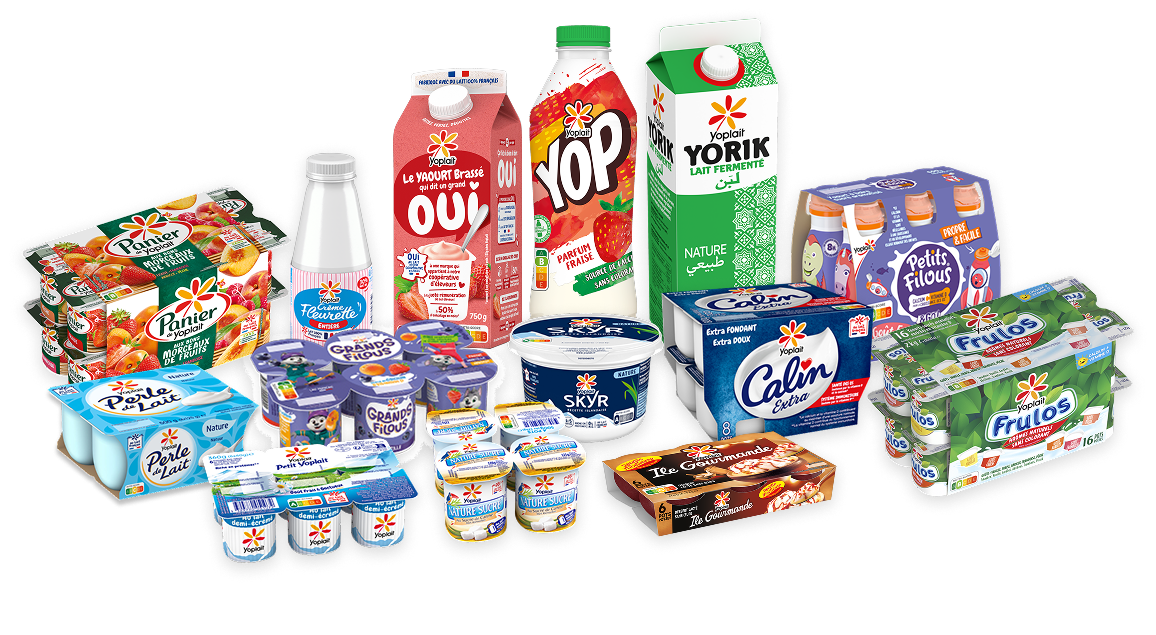 Toutes les marques Yoplait représentées par leurs produits respectifs