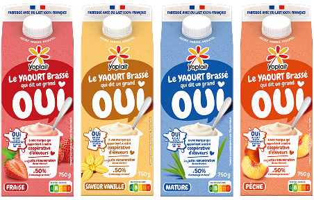 Produits Yoplait en Brique