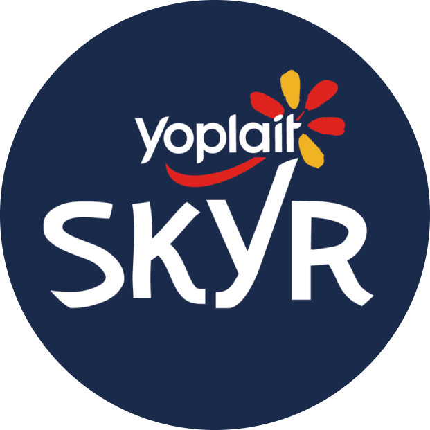 Logo skyr