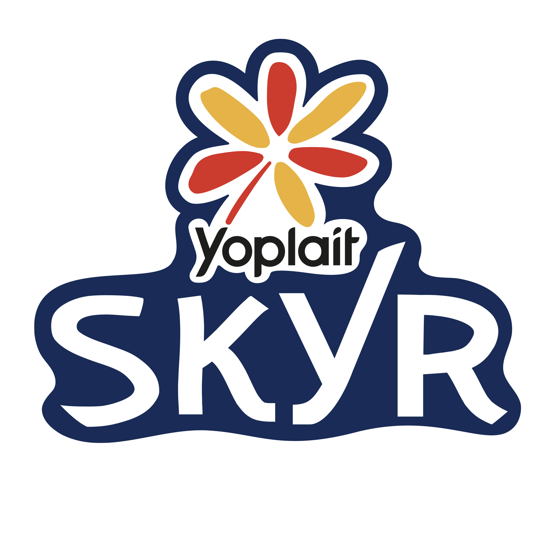 Logo skyr