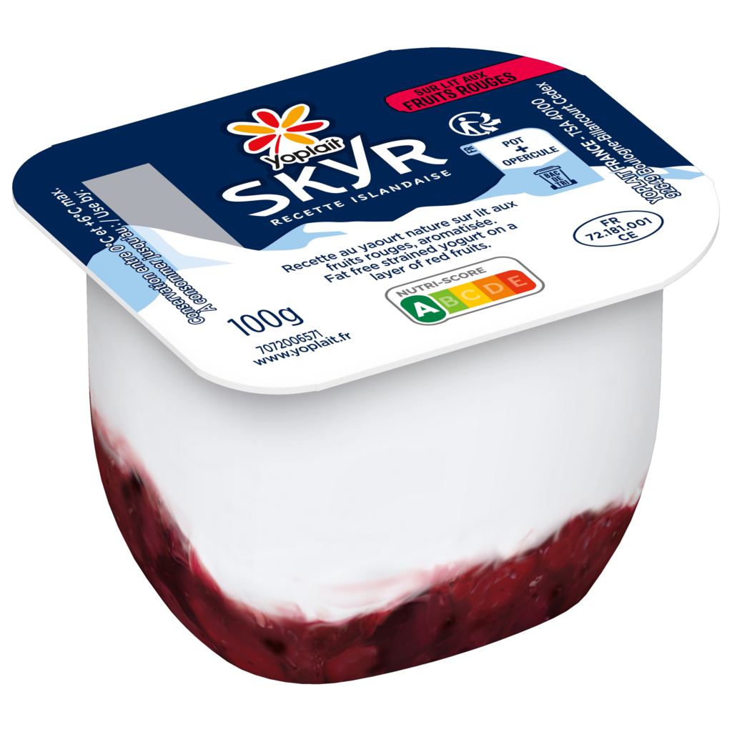 Yoplait SKYR Lits de Fruits