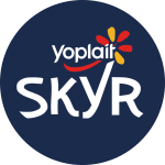 Logo SKYR