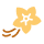 Gousse de vanille épuisée