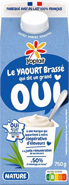Yoplait en Brique Brassé Nature