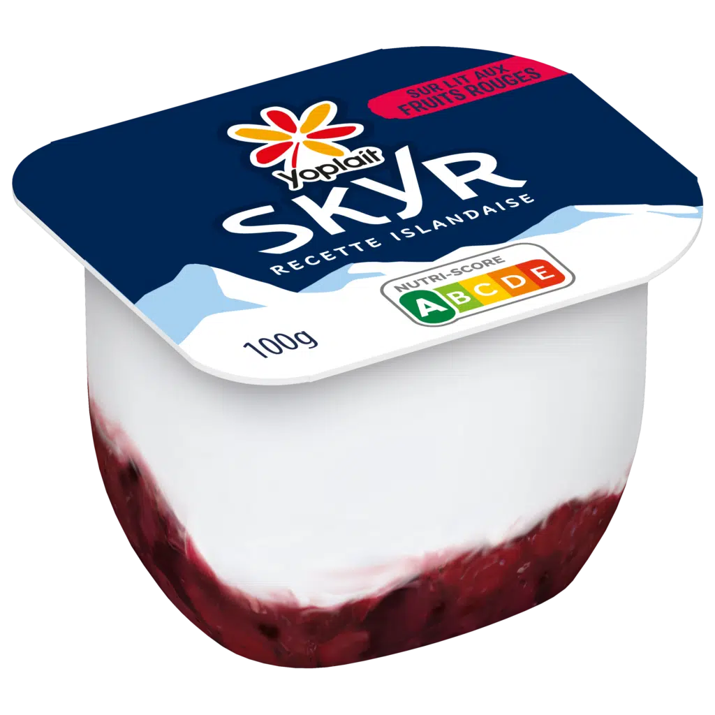 Yoplait SKYR Lits aux Fruits